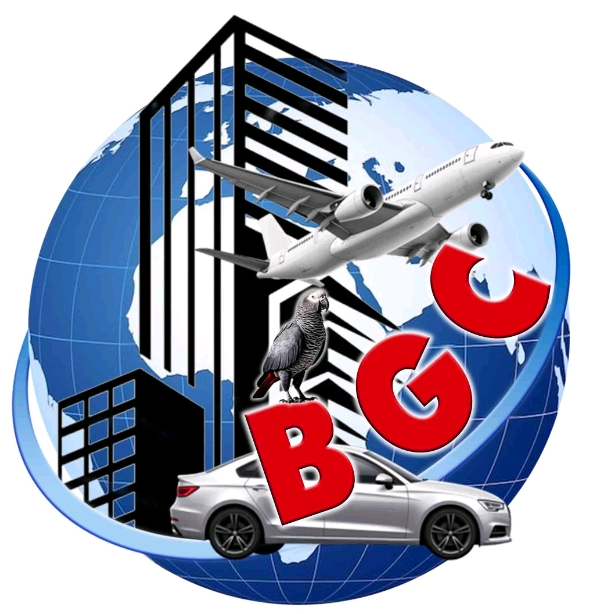 Bomoko Groupe Construction